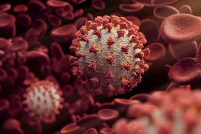 A new variant of the coronavirus, which appears to be more transmissible, has been discovered in South Africa and is being blamed for a new surge in Covid-19 cases in the UK.