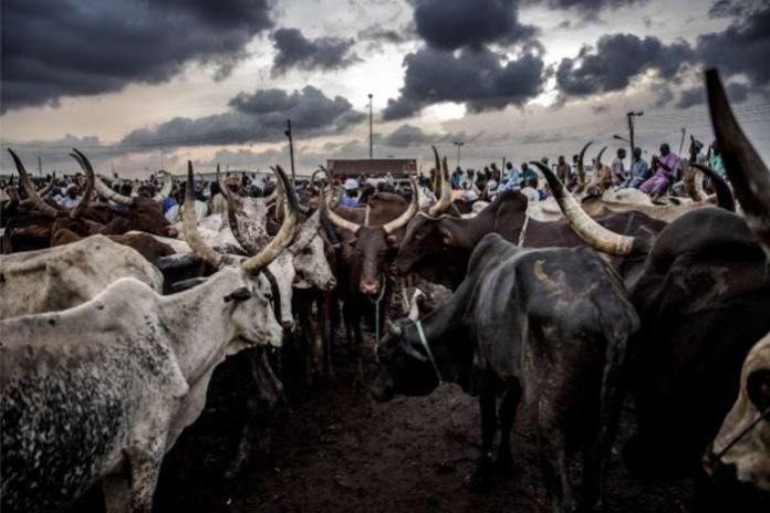 Herdsmen Herdsmen