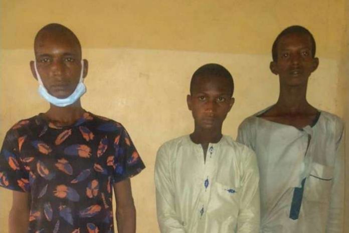 Officers of Ogun Police Command have arrested three herdsmen over recent attacks in Bamajo village in Ayetoro area of the state. Officers of Ogun Police Command have arrested three herdsmen over recent attacks in Bamajo village in Ayetoro area of the state.