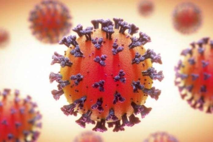 Another new variant of the novel coronavirus seems to have emerged in Nigeria, the head of Africa's disease control body said on Thursday, cautioning more investigation was needed. Another new variant of the novel coronavirus seems to have emerged in Nigeria, the head of Africa's disease control body said on Thursday, cautioning more investigation was needed.