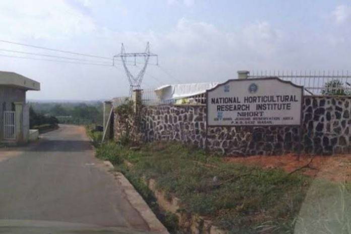 The National Institute of Horticultural Research (NIHORT), Ibadan, Oyo State, has commenced a 2-day training for unemployed youths and women, on value addition for tomato farmers. The National Institute of Horticultural Research (NIHORT), Ibadan, Oyo State, has commenced a 2-day training for unemployed youths and women, on value addition for tomato farmers.
