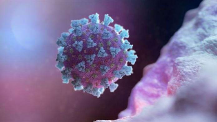 The highly infectious variant of the novel coronavirus that is predominant in the United Kingdom may be up to 70 percent more deadly than previous strains, according to a report by the government’s scientific advisers. The highly infectious variant of the novel coronavirus that is predominant in the United Kingdom may be up to 70 percent more deadly than previous strains, according to a report by the government’s scientific advisers.